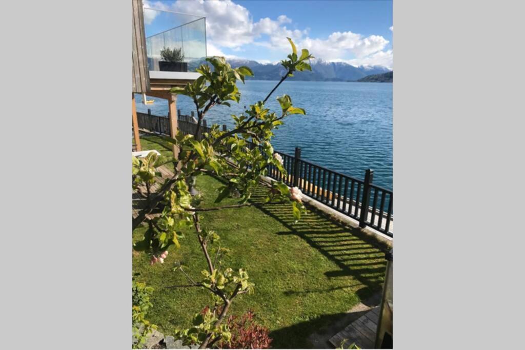 Panoramaresort In Hardangerfjorden Leilighet I Sjokanten Ved Hardangerfjorden For 7 Personer Boat , Sauna,Kajak, Sup For Rent Øystese Esterno foto